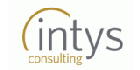 Intys Consulting